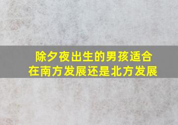 除夕夜出生的男孩适合在南方发展还是北方发展