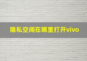 隐私空间在哪里打开vivo