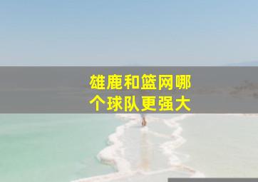 雄鹿和篮网哪个球队更强大