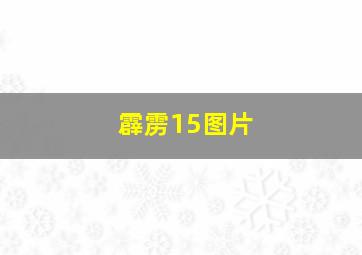 霹雳15图片