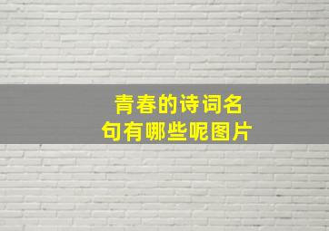 青春的诗词名句有哪些呢图片