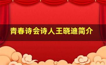 青春诗会诗人王晓迪简介