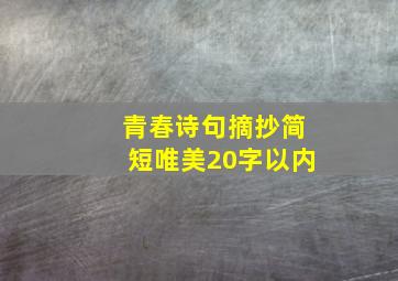 青春诗句摘抄简短唯美20字以内