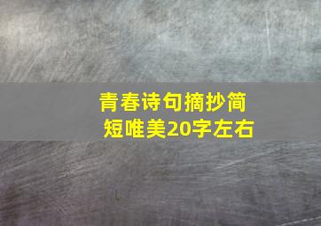 青春诗句摘抄简短唯美20字左右