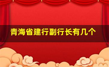 青海省建行副行长有几个