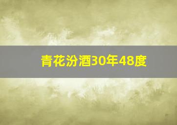 青花汾酒30年48度