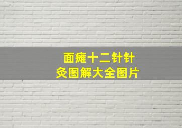 面瘫十二针针灸图解大全图片