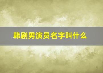 韩剧男演员名字叫什么