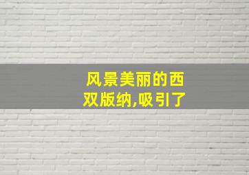 风景美丽的西双版纳,吸引了