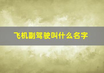 飞机副驾驶叫什么名字