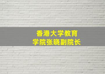 香港大学教育学院张晓副院长