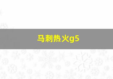 马刺热火g5