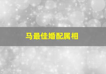 马最佳婚配属相