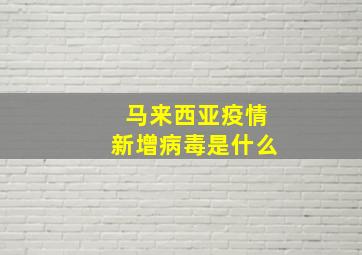 马来西亚疫情新增病毒是什么