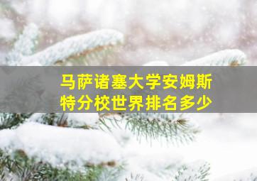 马萨诸塞大学安姆斯特分校世界排名多少