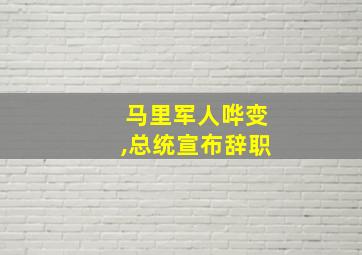 马里军人哗变,总统宣布辞职