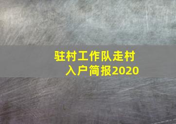 驻村工作队走村入户简报2020