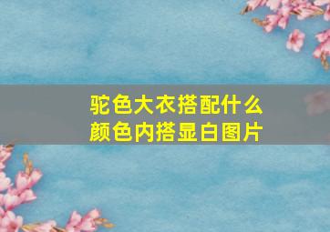 驼色大衣搭配什么颜色内搭显白图片