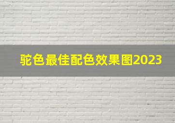 驼色最佳配色效果图2023