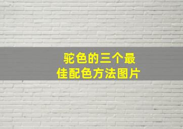 驼色的三个最佳配色方法图片