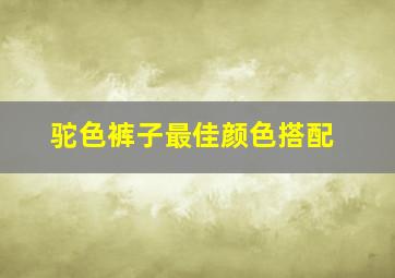 驼色裤子最佳颜色搭配