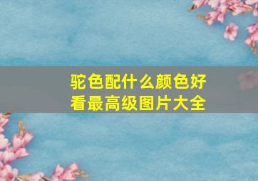 驼色配什么颜色好看最高级图片大全