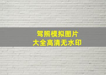 驾照模拟图片大全高清无水印