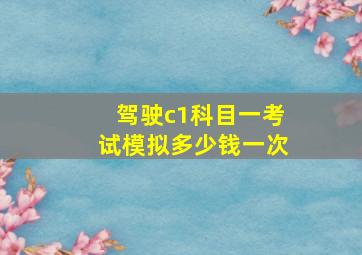 驾驶c1科目一考试模拟多少钱一次