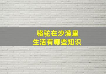 骆驼在沙漠里生活有哪些知识