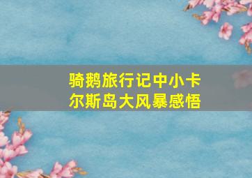 骑鹅旅行记中小卡尔斯岛大风暴感悟