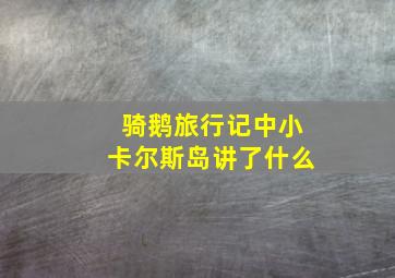 骑鹅旅行记中小卡尔斯岛讲了什么