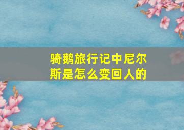 骑鹅旅行记中尼尔斯是怎么变回人的