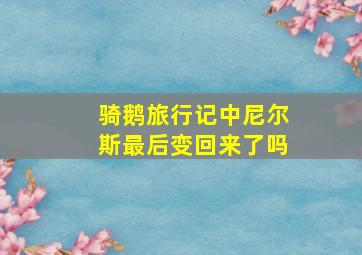 骑鹅旅行记中尼尔斯最后变回来了吗