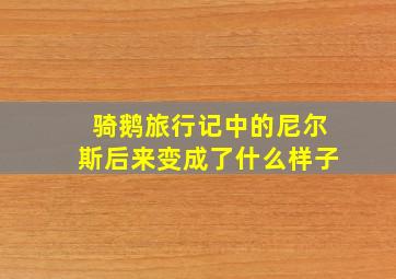 骑鹅旅行记中的尼尔斯后来变成了什么样子