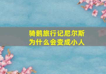 骑鹅旅行记尼尔斯为什么会变成小人