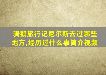 骑鹅旅行记尼尔斯去过哪些地方,经历过什么事简介视频