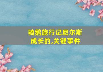 骑鹅旅行记尼尔斯成长的,关键事件