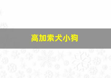 高加索犬小狗