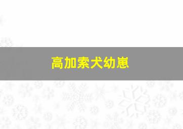 高加索犬幼崽