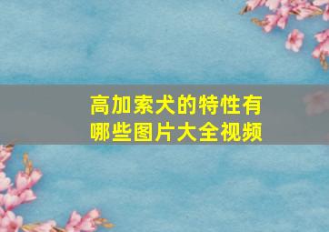 高加索犬的特性有哪些图片大全视频