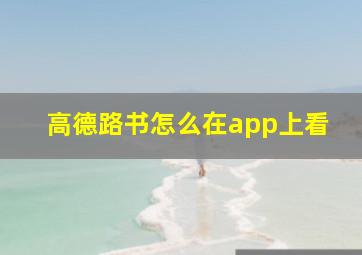 高德路书怎么在app上看