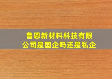 鲁恩新材料科技有限公司是国企吗还是私企