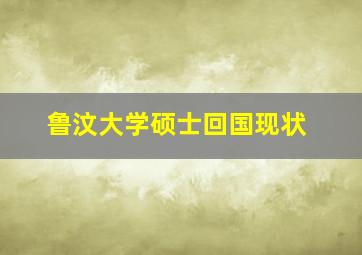 鲁汶大学硕士回国现状