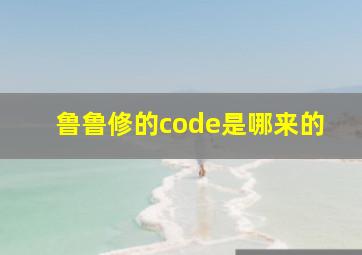 鲁鲁修的code是哪来的