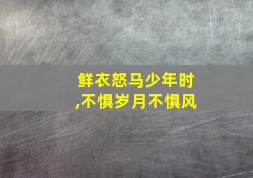 鲜衣怒马少年时,不惧岁月不惧风