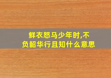 鲜衣怒马少年时,不负韶华行且知什么意思