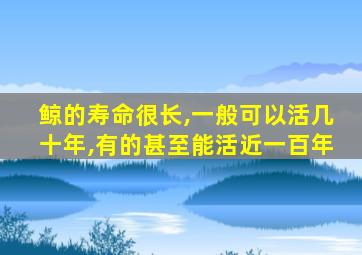 鲸的寿命很长,一般可以活几十年,有的甚至能活近一百年