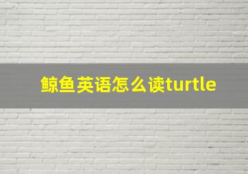 鲸鱼英语怎么读turtle