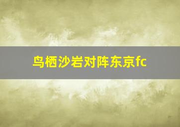 鸟栖沙岩对阵东京fc