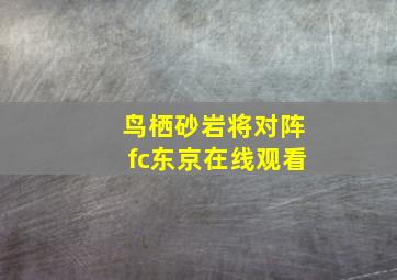 鸟栖砂岩将对阵fc东京在线观看